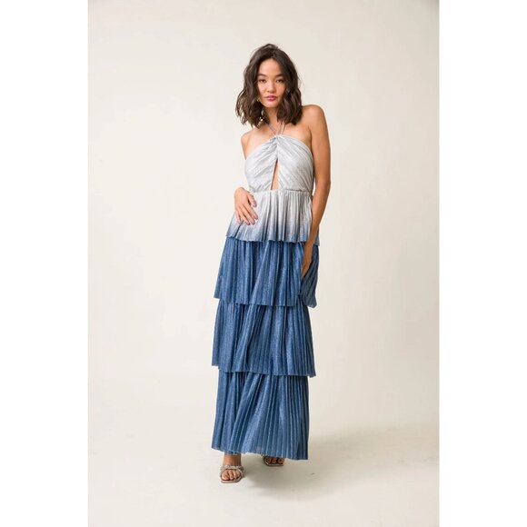 Winter Wonderland Dress
Line & Dot Blue and White Maxi Dress - Picture 12 of 12